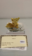 55º Torino Euromineral Expo