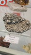 55º Torino Euromineral Expo