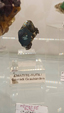 55º Torino Euromineral Expo