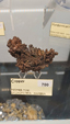 55º Torino Euromineral Expo