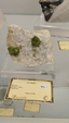 55º Torino Euromineral Expo