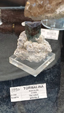 55º Torino Euromineral Expo