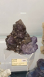 55º Torino Euromineral Expo