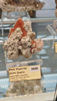 55º Torino Euromineral Expo