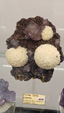 55º Torino Euromineral Expo