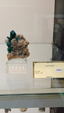 55º Torino Euromineral Expo