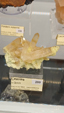 55º Torino Euromineral Expo