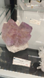 55º Torino Euromineral Expo