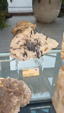 55º Torino Euromineral Expo