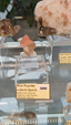 55º Torino Euromineral Expo