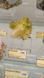 55º Torino Euromineral Expo