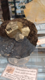 55º Torino Euromineral Expo