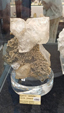 55º Torino Euromineral Expo