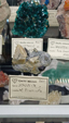 55º Torino Euromineral Expo