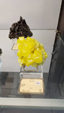 55º Torino Euromineral Expo