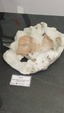 55º Torino Euromineral Expo