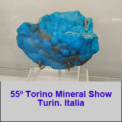 55º Torino Euromineral Expo