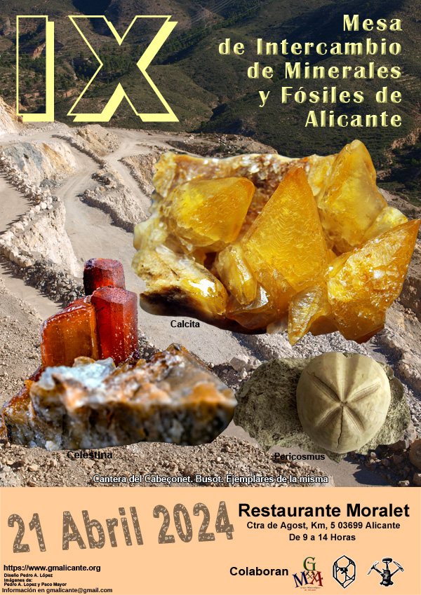 IX Mesa de Intercambio de Minerales y Fósiles de Alicante