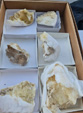 III Feria de Minerales Bella Jarifa