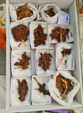 III Feria de Minerales Bella Jarifa