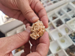 III Feria de Minerales Bella Jarifa