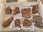 III Feria de Minerales Bella Jarifa