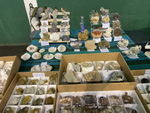 XIII  Feria de Minerales de Colmenar Viejo