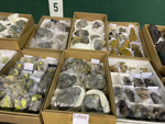 XIII  Feria de Minerales de Colmenar Viejo