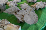 XIII  Feria de Minerales de Colmenar Viejo