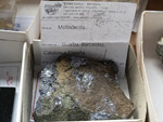 MINERGUALBA 2025. Fira de Minerals del Montseny