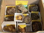 MINERGUALBA 2025. Fira de Minerals del Montseny