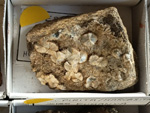 MINERGUALBA 2025. Fira de Minerals del Montseny