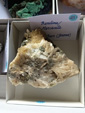 MINERGUALBA 2025. Fira de Minerals del Montseny
