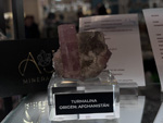 MINERVAL 2025. Feria de Minerales de Valencia