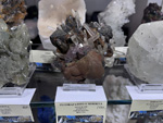 MINERVAL 2025. Feria de Minerales de Valencia