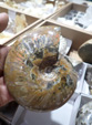 III Feria Internacional Minerales, Fósiles y Gemas de Utrillas