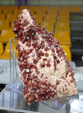 III Feria Internacional Minerales, Fósiles y Gemas de Utrillas