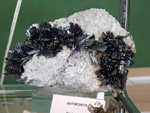 III Feria Internacional Minerales, Fósiles y Gemas de Utrillas