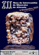 XII Mesa de Intercambio de MInerales de Alicante
