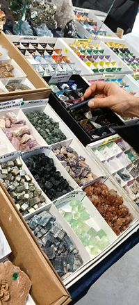 2ª Feria de Minerales y fósiles de Burgos