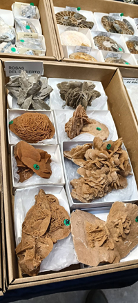 2ª Feria de Minerales y fósiles de Burgos