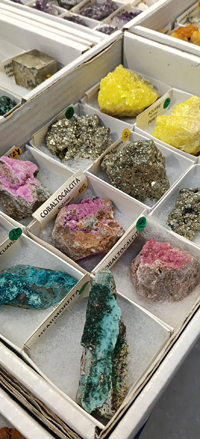 2ª Feria de Minerales y fósiles de Burgos