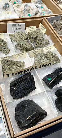 2ª Feria de Minerales y fósiles de Burgos