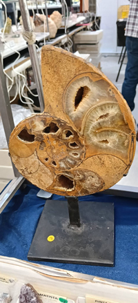 2ª Feria de Minerales y fósiles de Burgos