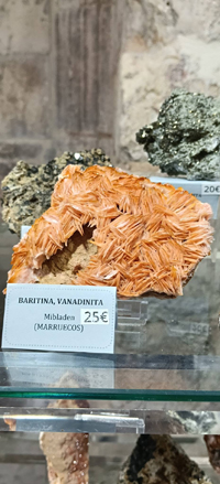 2ª Feria de Minerales y fósiles de Burgos