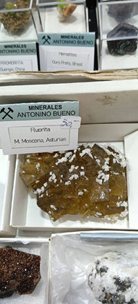 2ª Feria de Minerales y fósiles de Burgos