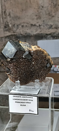 2ª Feria de Minerales y fósiles de Burgos