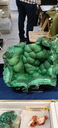 2ª Feria de Minerales y fósiles de Burgos