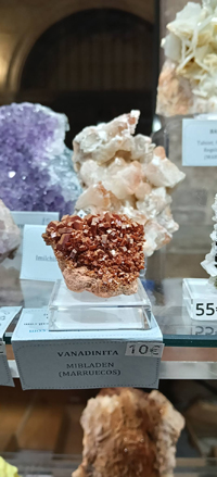 2ª Feria de Minerales y fósiles de Burgos