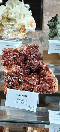 2ª Feria de Minerales y fósiles de Burgos